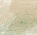 Sand