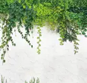 Stucco