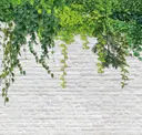White Brick