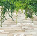 Whitewashed Wood