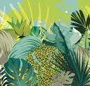 Canopy