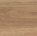 Seaside Driftwood