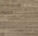 Steel