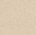 Sandrift