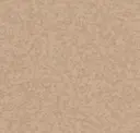 Sesame Seed