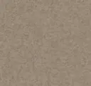Sand Dune