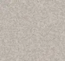 Gray Fog