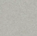 Gray Mist