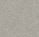 Gray Quartz