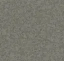 Gray Flint