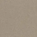 Fossil Gray