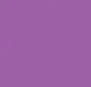 Bright Lilac