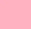 Carnation