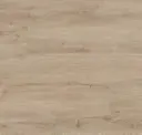 Sandino