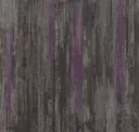 Col129-10 Black Orchid