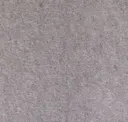 Fossil