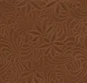 Cedar