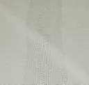 Dove