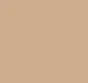 Corriere Beige