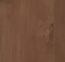 Acorn