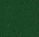 Fwk203 Jungle