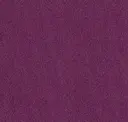 Fwk227 Fuchsia