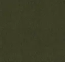 Fwk88 Olive