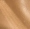 Buckskin