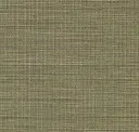 1081.01