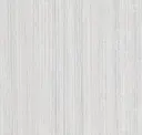 1019.04
