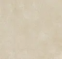 1017.06