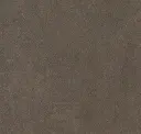 1017.25