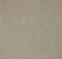 Bone