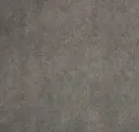 Fossil