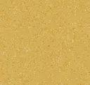 Amber Yellow