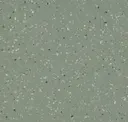 Chlorite Quartz