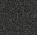 Winter Gray
