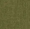 Field Report