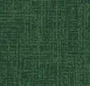 Oregon Fir