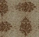Fall Chrysanthemum
