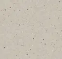 Bird Egg Beige