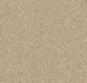 Dark Warm Beige