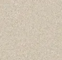 Medium Warm Beige