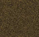 Gold Ore