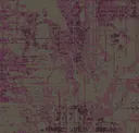 Urban Violet