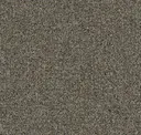 Warm Tweed