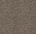 Brushwood