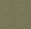 Gamma Grass