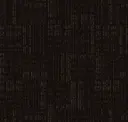 Dark Noix