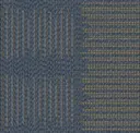 Particolor